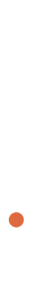 center-line4